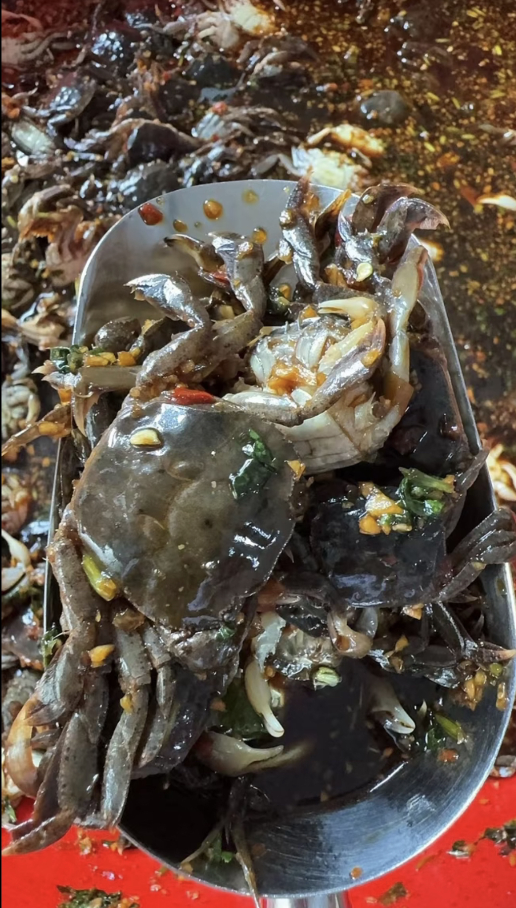 正宗潮汕生腌海鲜密蟹 生腌螃蟹 米蟹抹蟹陆丰特产新鲜制作配粥