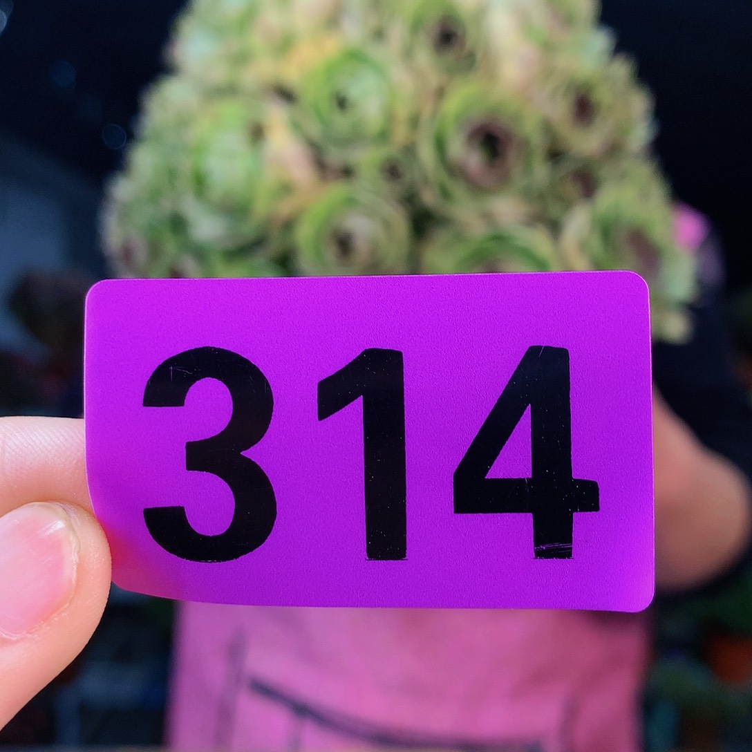 sssssssssssssssssss314