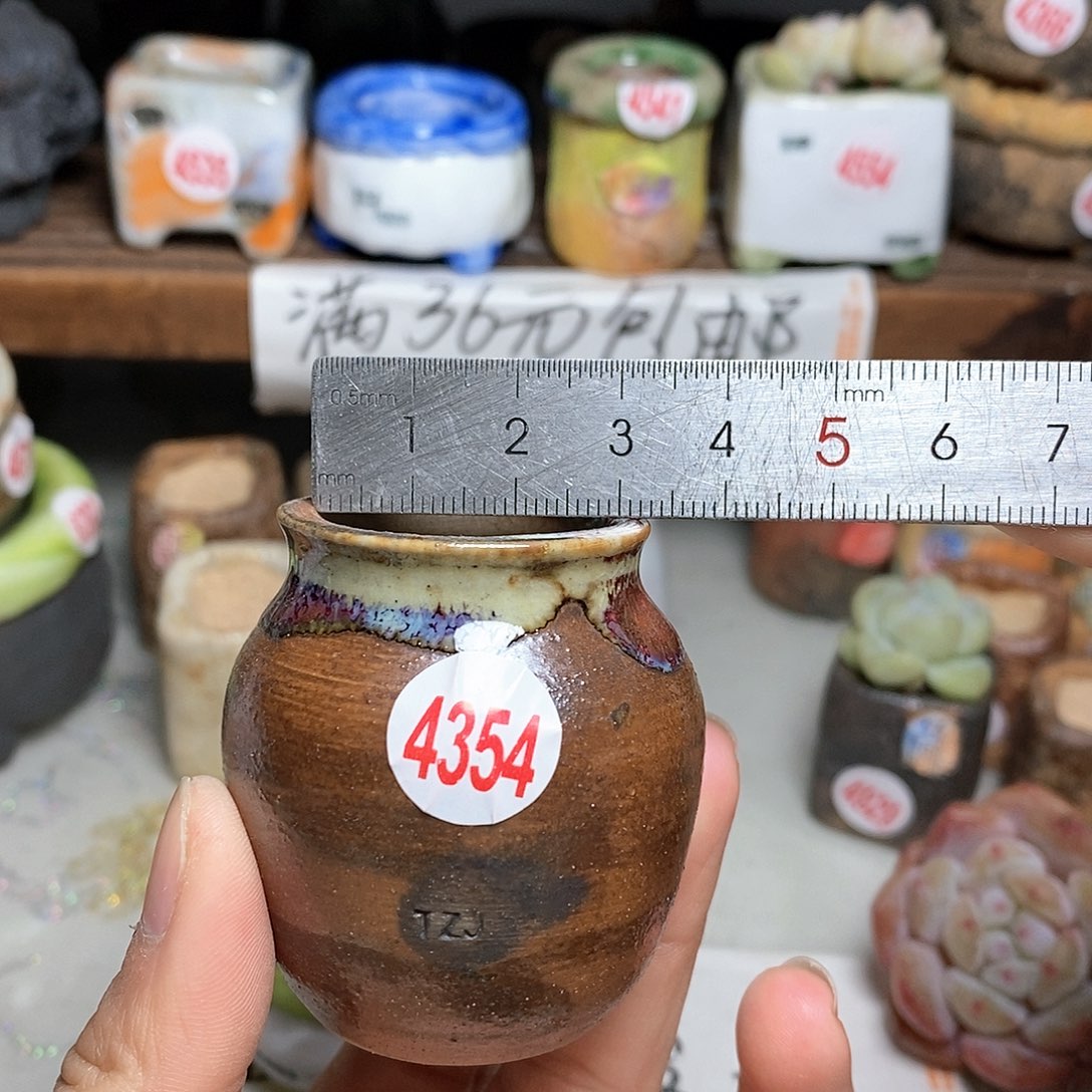 红陶拍5送一个小