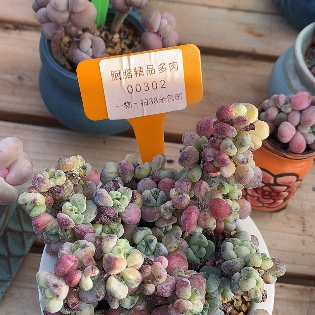 00302测题v摸了咯组