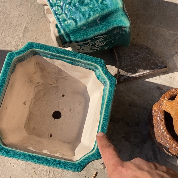 花盆花盆花盆花盆