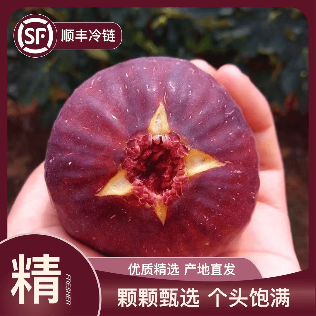 【顺丰冷链】四川新鲜无花果当季时令水果软糯香甜现摘现发鲜果批发