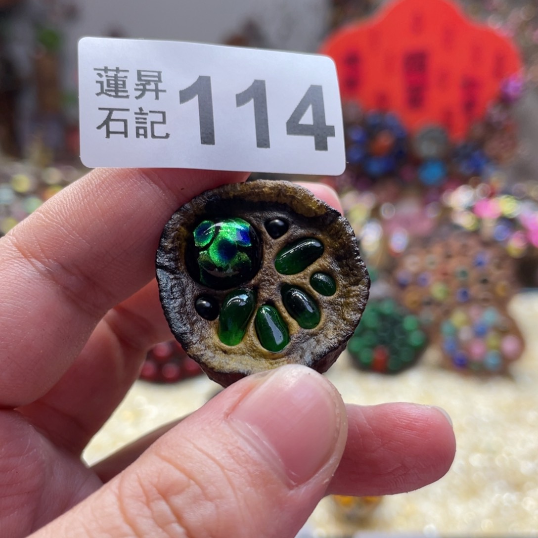 核桃木/黑胡桃（胡桃木）114