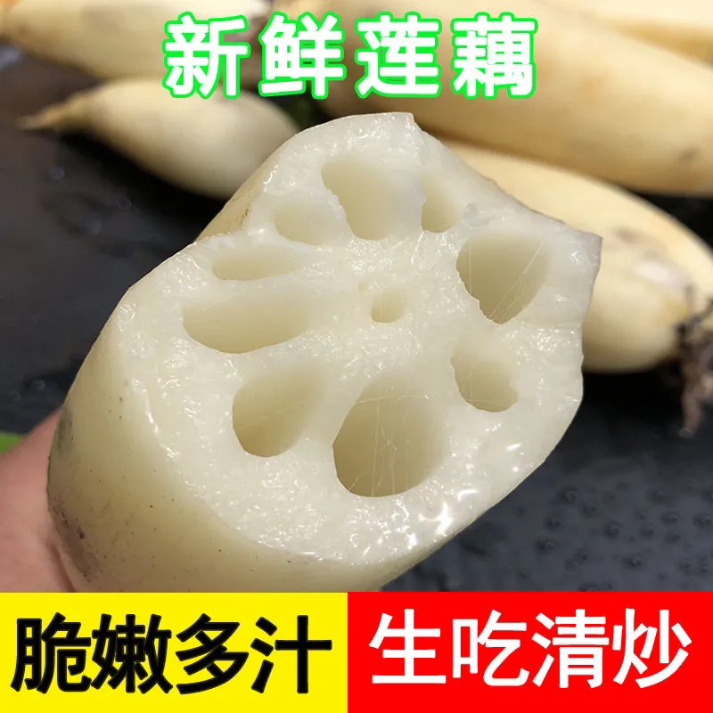 现挖现发湖北大脆藕莲藕清炒凉拌新鲜带泥不漂白应季食材农户自种
