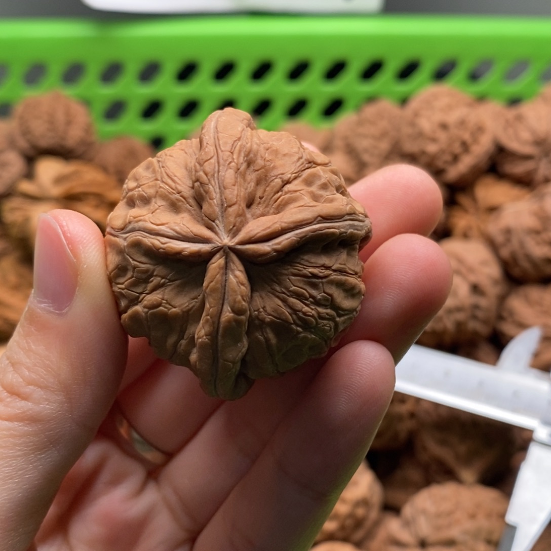 o***哥核桃定制商品不退不换