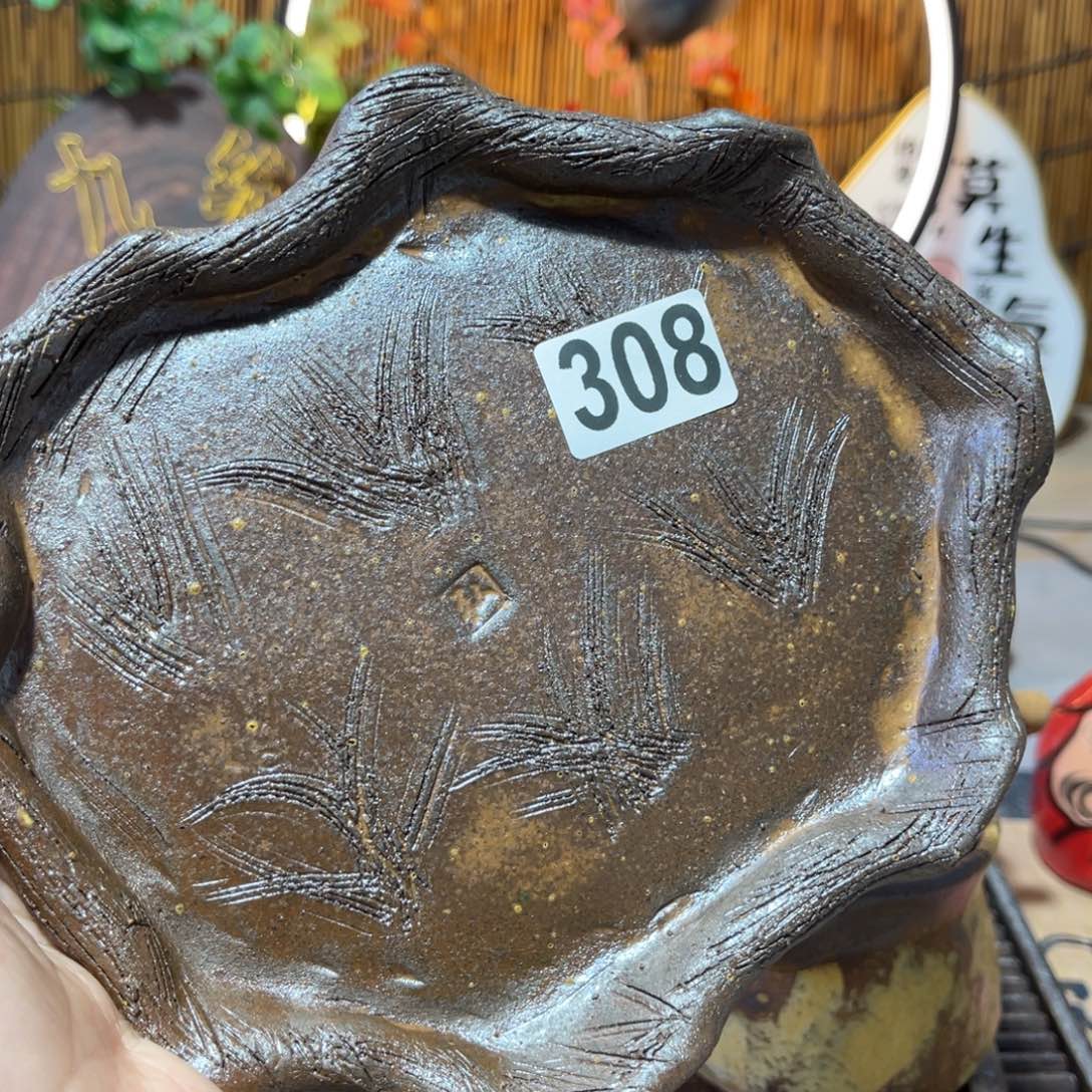 木村信弘柴烧保平