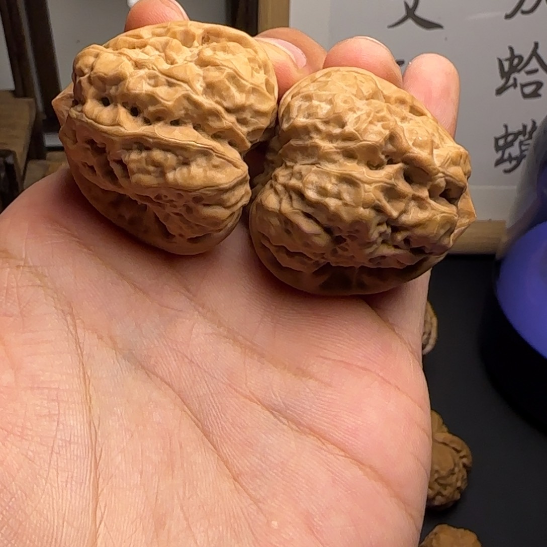 扶***光41✖️44➕蛤蟆头红皮