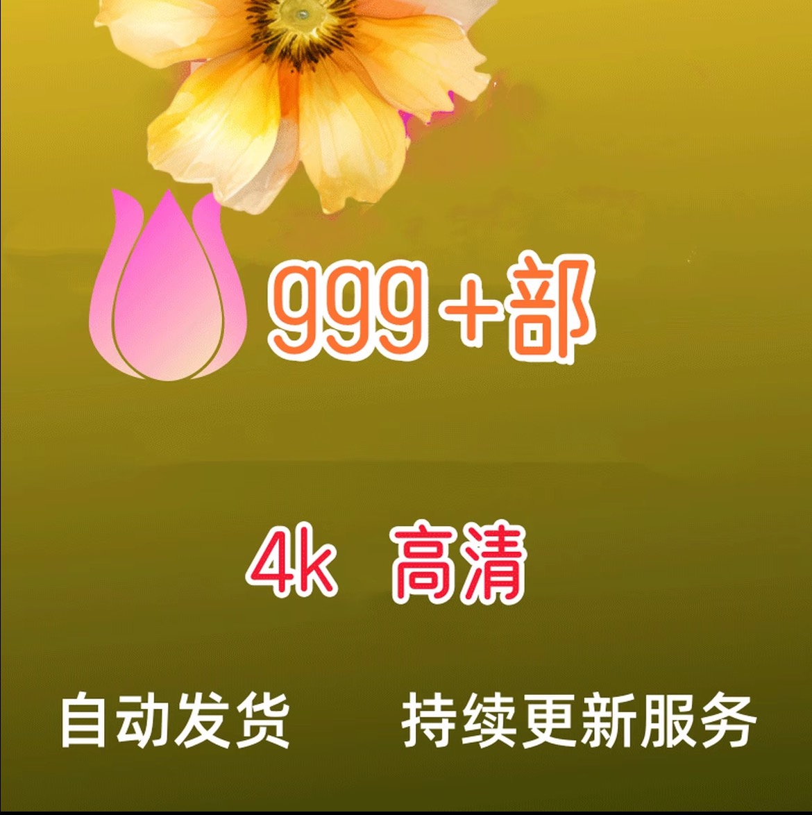 999十】部视屏集 免解压在线办公观看更新 办公教程服务