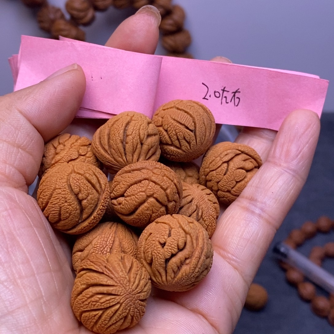 秦岭龙纹桃核13颗