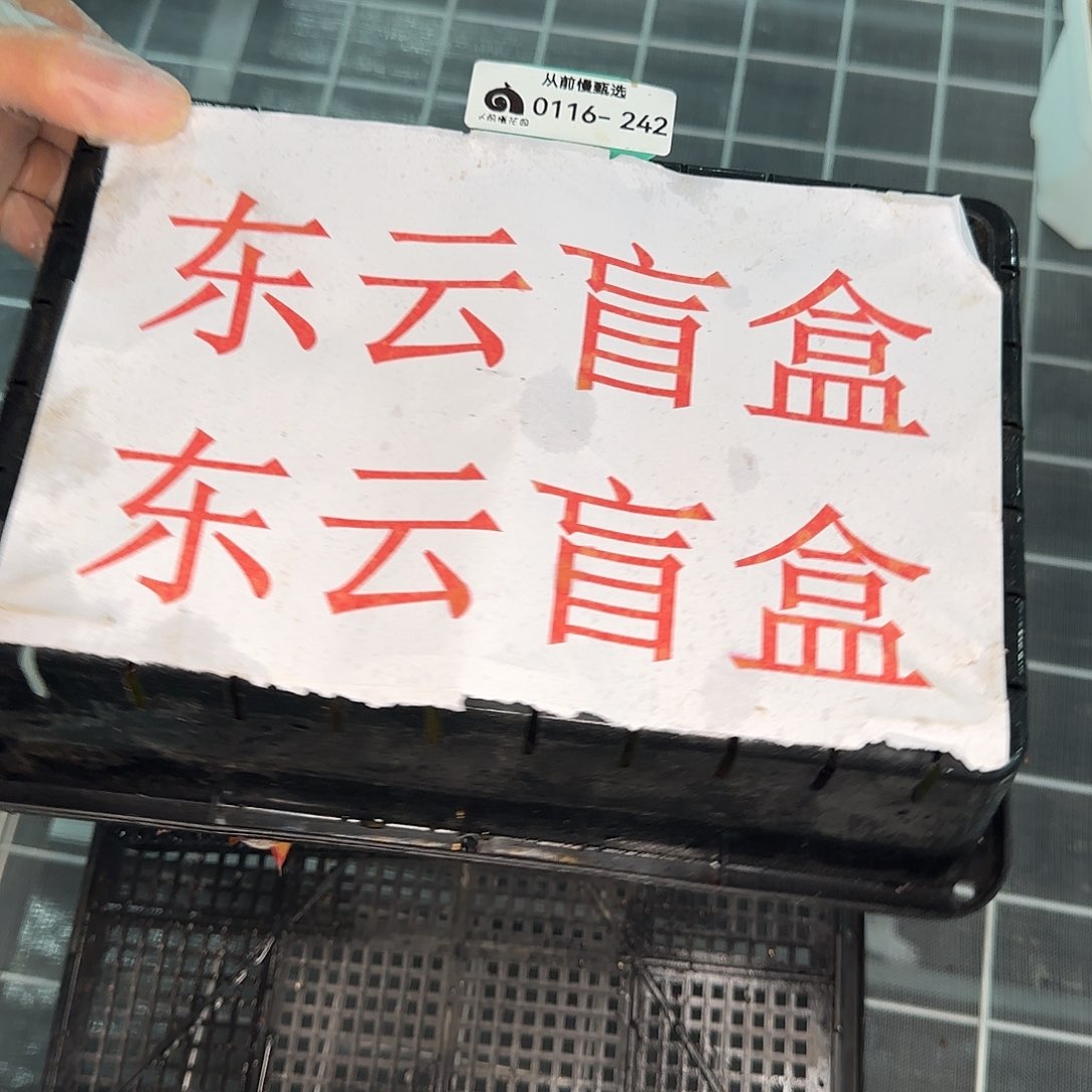 从前慢花园精选0116-242