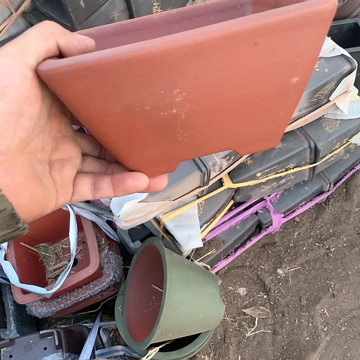 紫砂没有那么好吃我的人生