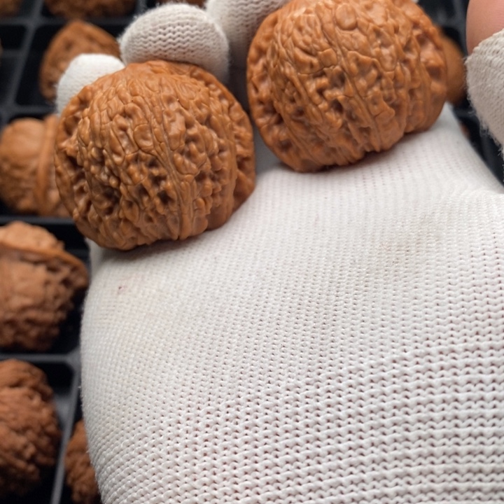 文玩核桃把件别*泥鳅背