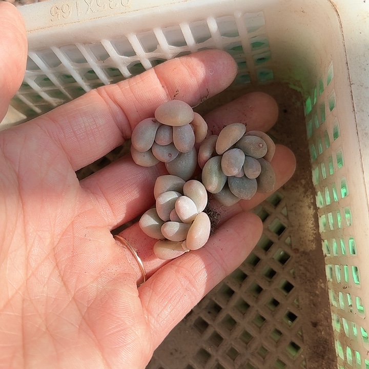 小*s n sh x h d k d j d h d 162