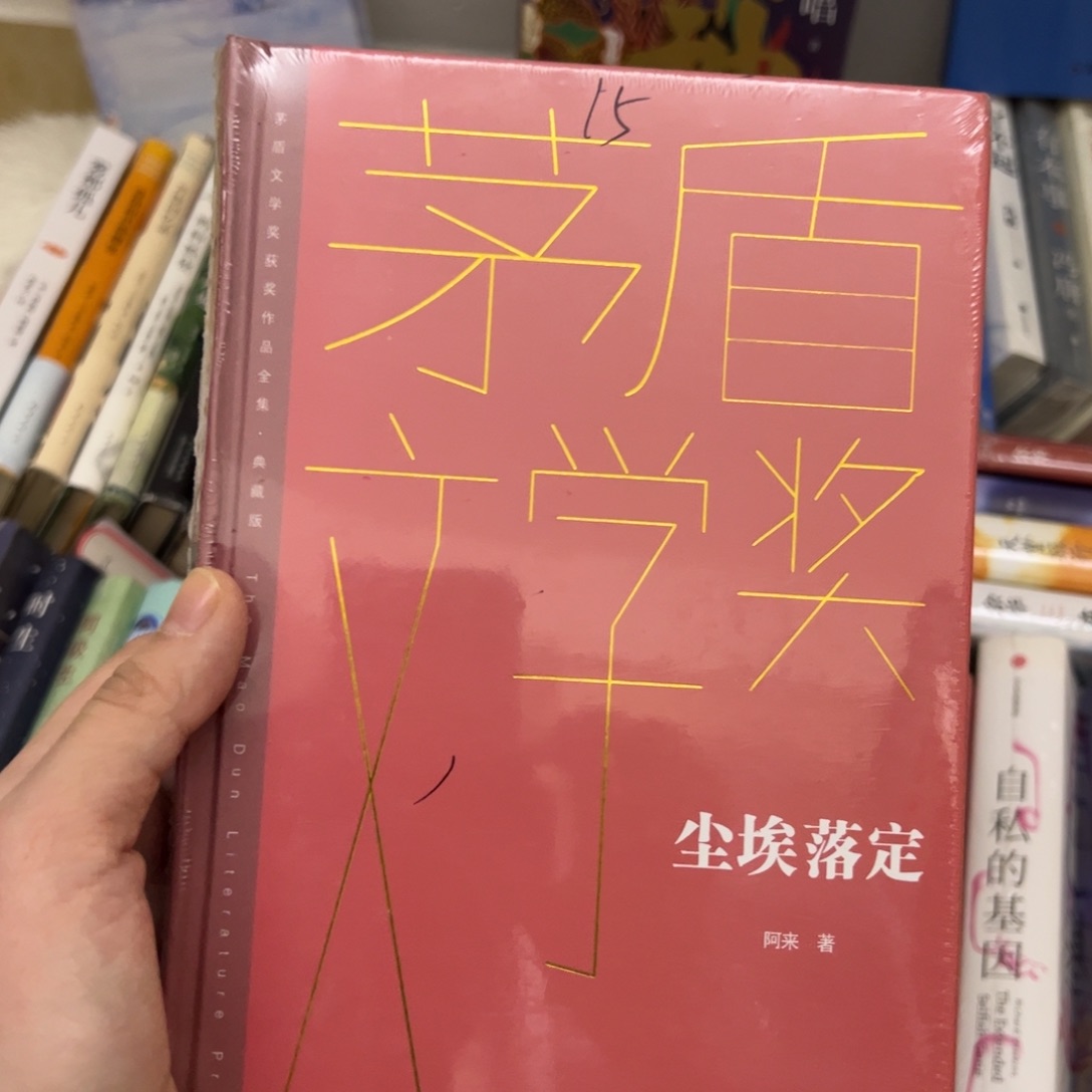 尘埃落定          