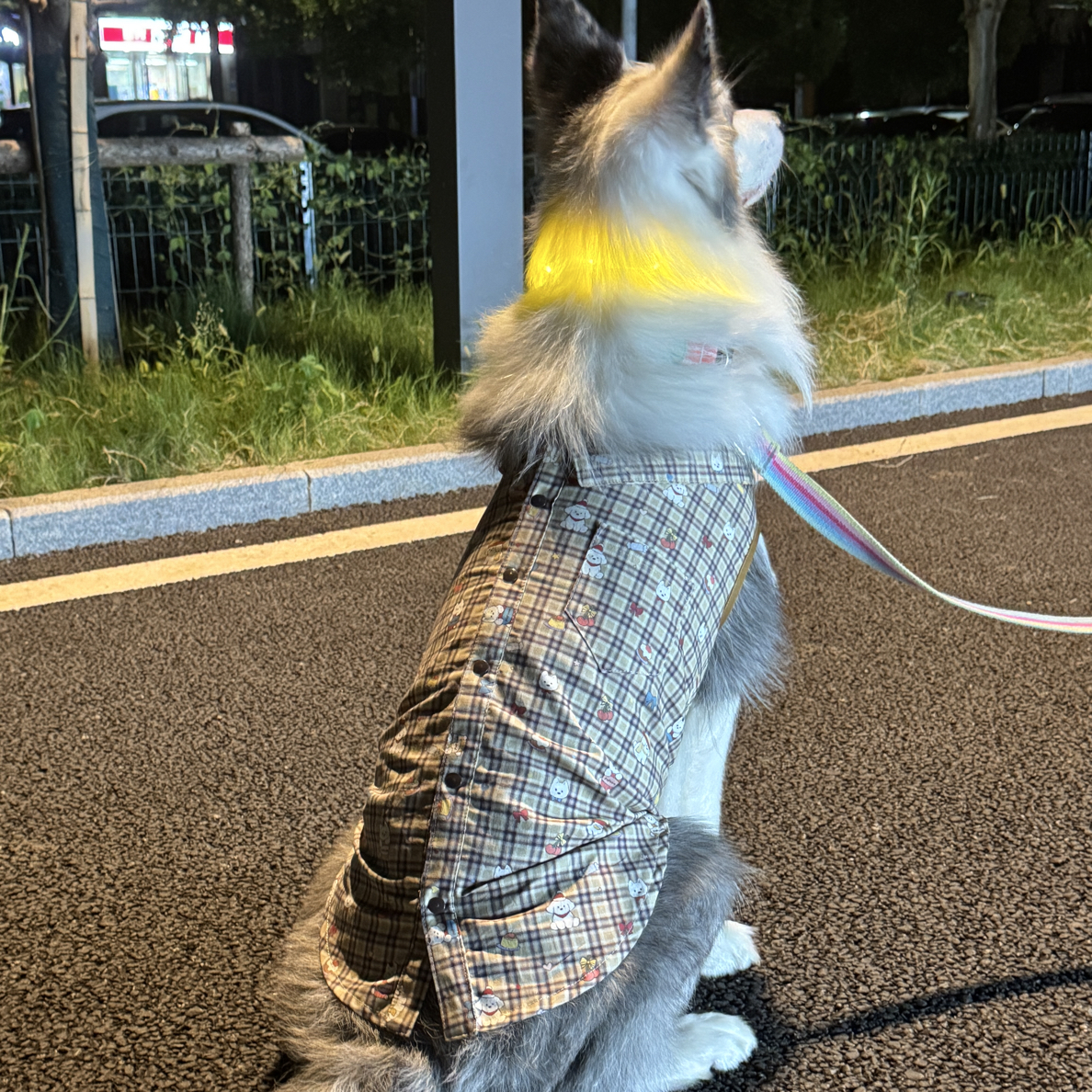 边牧狗狗衣服狗狗衬衫薄款防掉毛春秋衬衣不支持退换