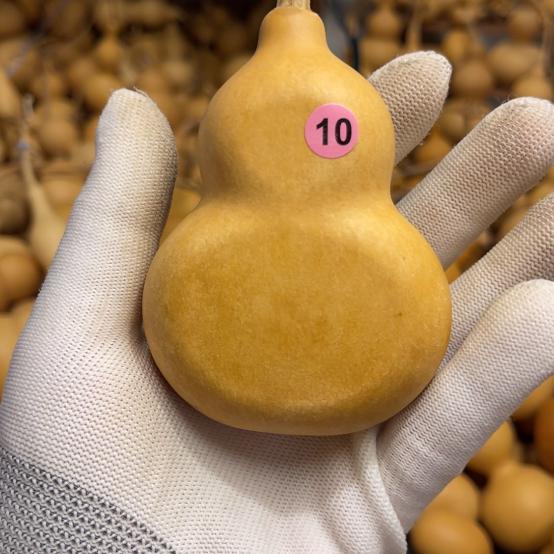 闪拍葫芦链接-10号品