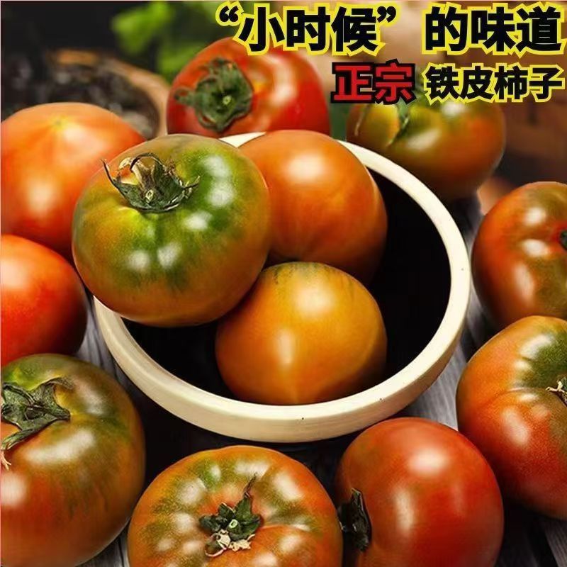 山东草莓西红柿铁皮草莓柿子山东酸甜铁皮西红柿自然熟红色