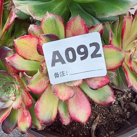 【闪购商品】?****?12345678