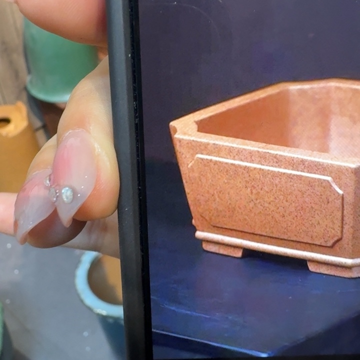 脑***空花盆紫砂福利来了