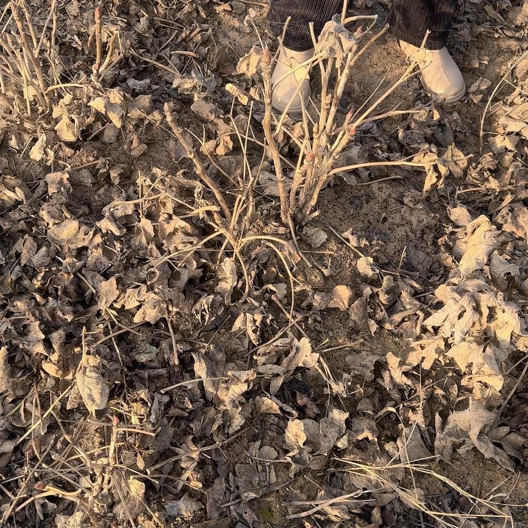 完全开放1111111111