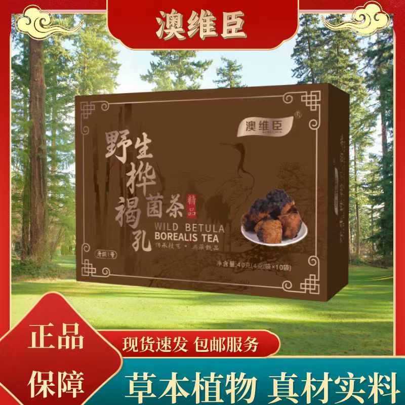 西藏桦褐孔菌  家中常备 2