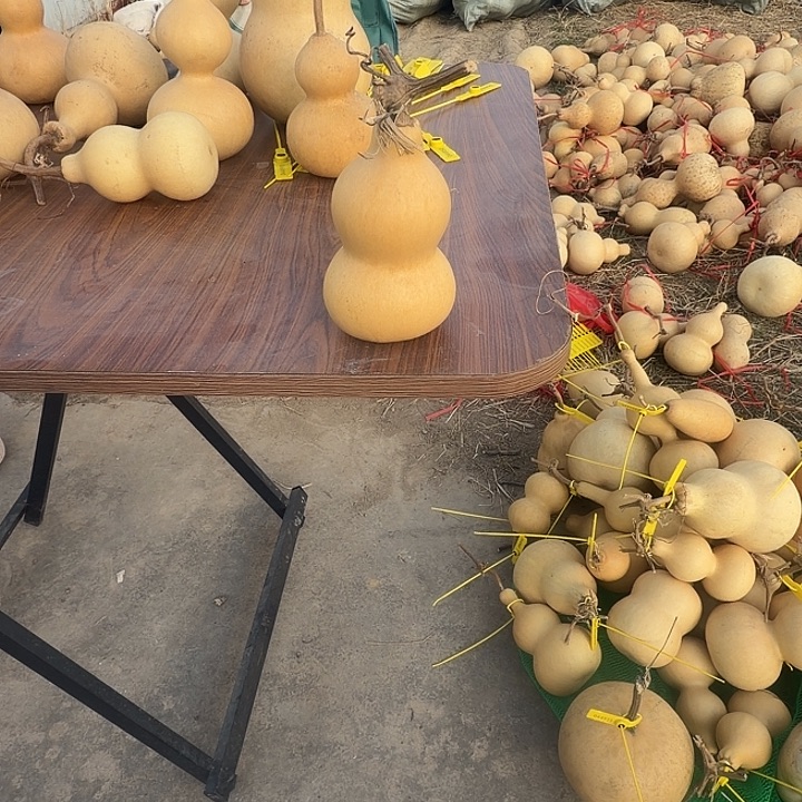 文玩葫芦零元起拍