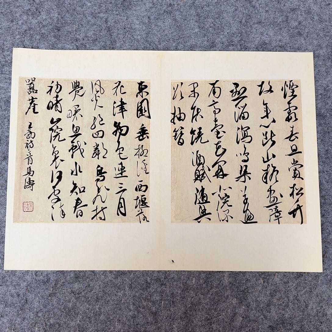 书法中书马涛40×30