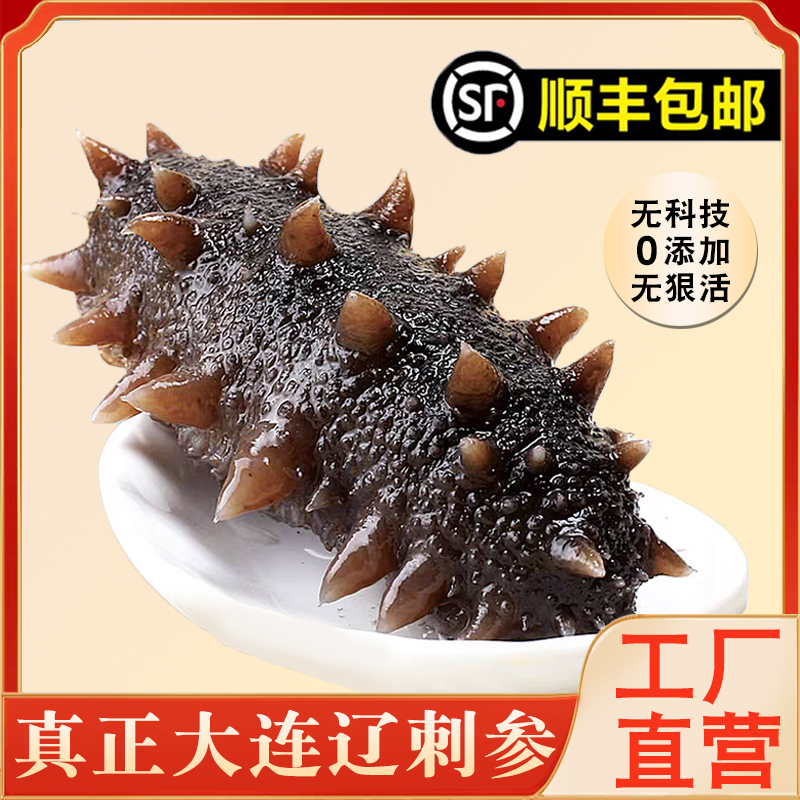 新辽港大连辽参非水发鲜食海参辽刺参0碱即食海参500g6-8头Q弹