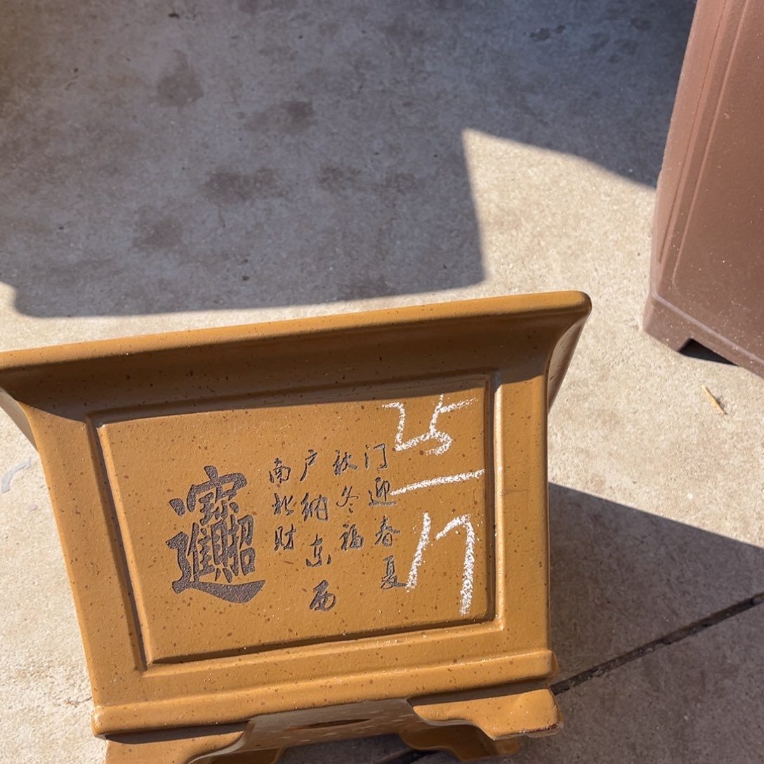 花盆紫砂盆景艺术