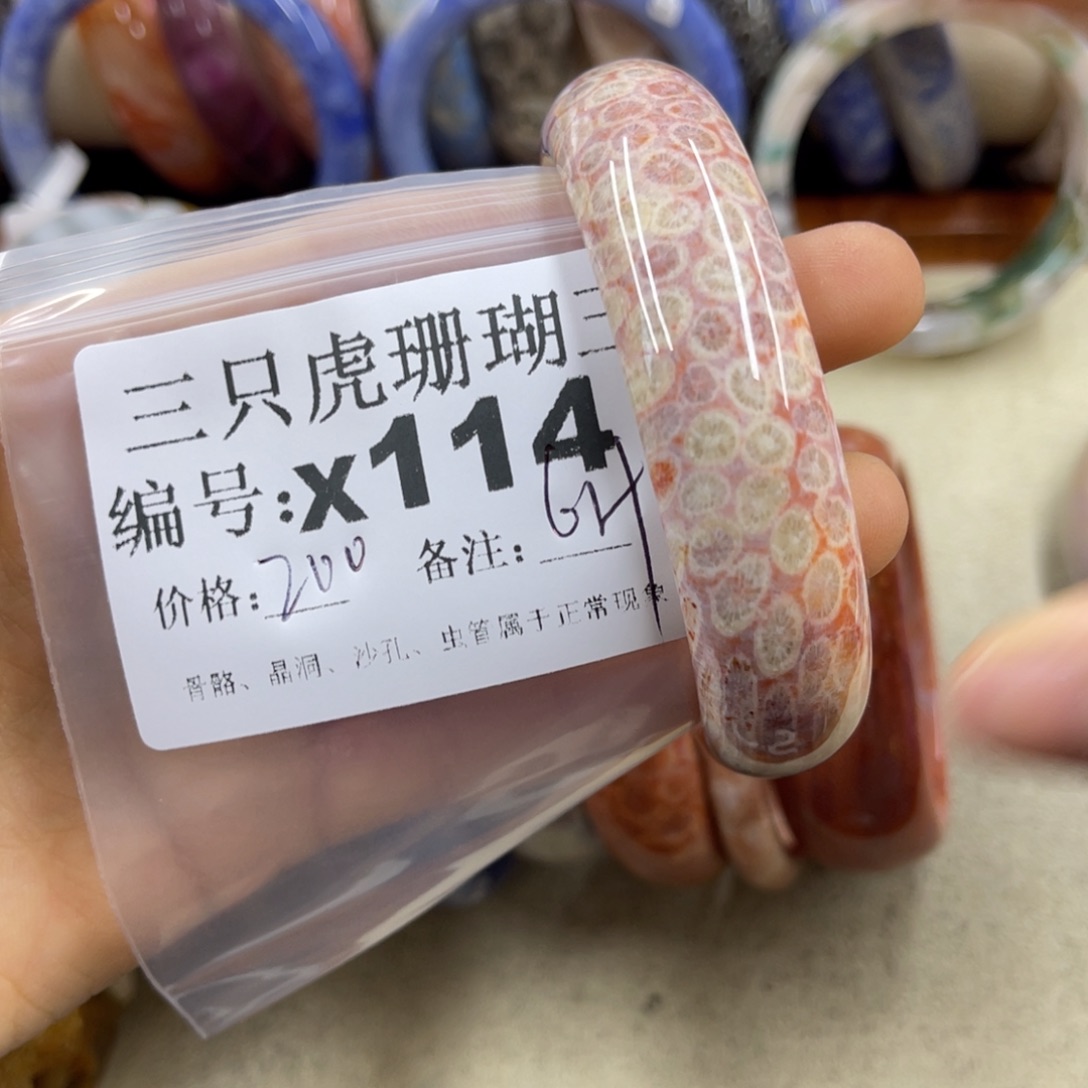 炫***5硅化珊瑚（珊瑚玉）未镶嵌h