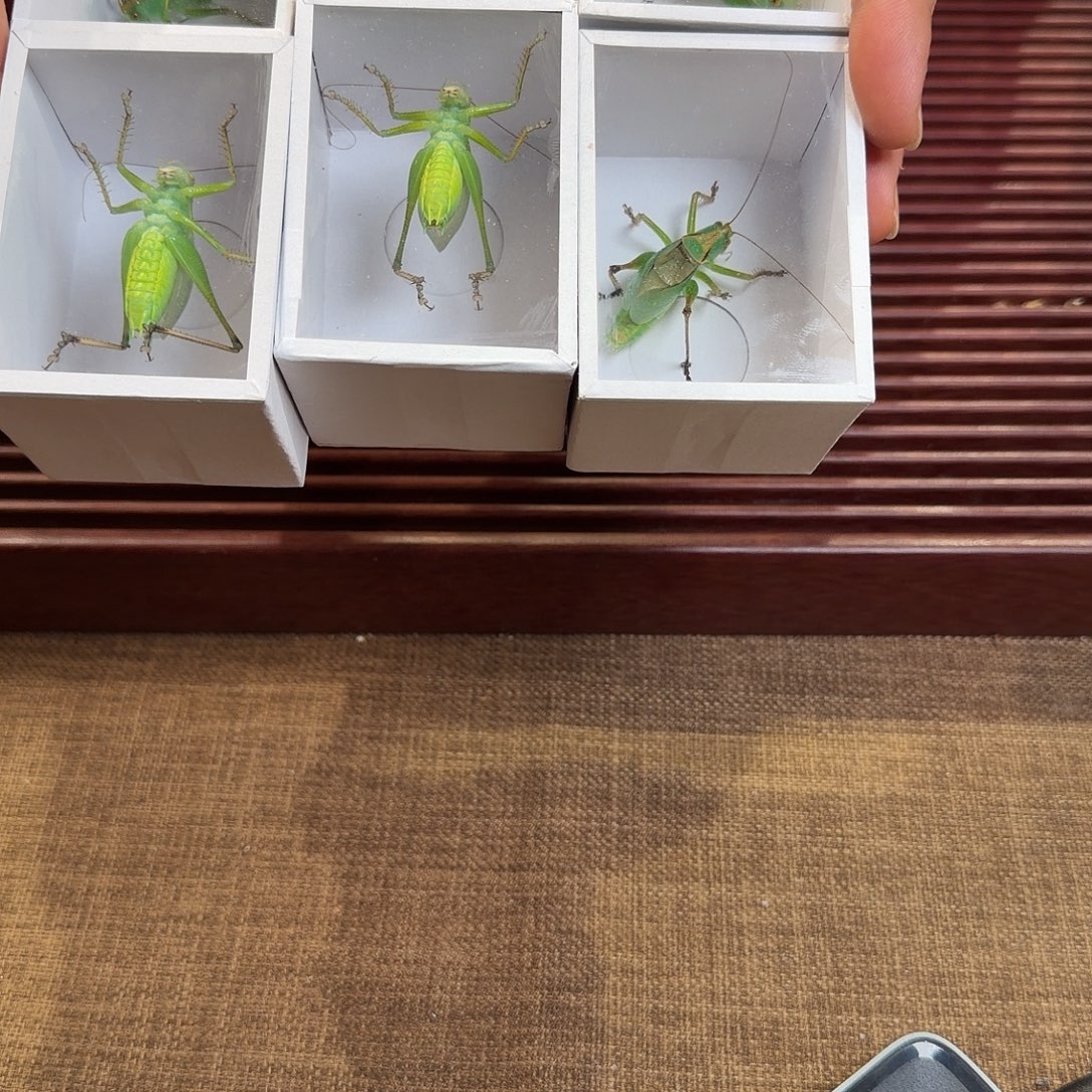 超大扎嘴哈哈哈哈