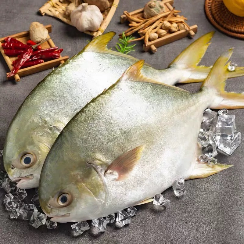 顺丰次日达深海金鲳鱼7条特惠装阳江发货肉质鲜美新鲜速冻不帮杀