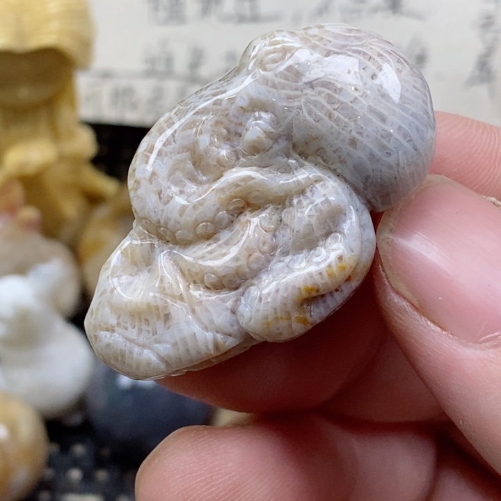 颈饰未镶嵌硅化珊瑚（珊瑚玉）