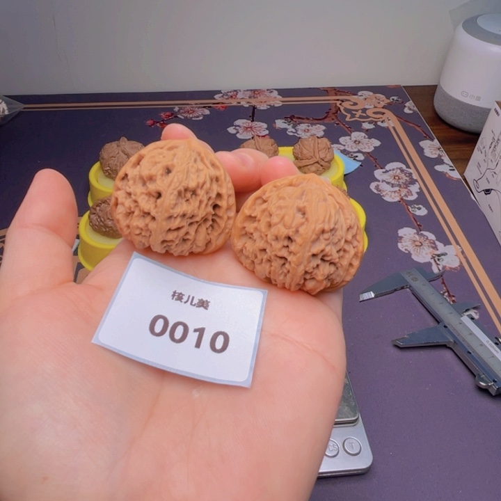 文玩核桃把件白狮子39尺0010