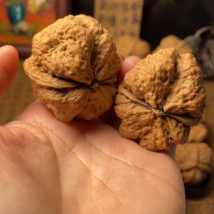 蜜***生云南野生铁核桃编号14