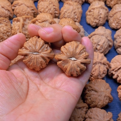 【闪购商品】吊坠文玩核桃木**呀白狮子36