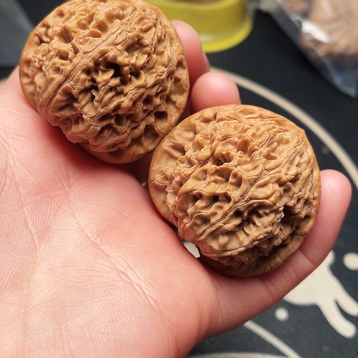 文玩核桃把件水龙文一对