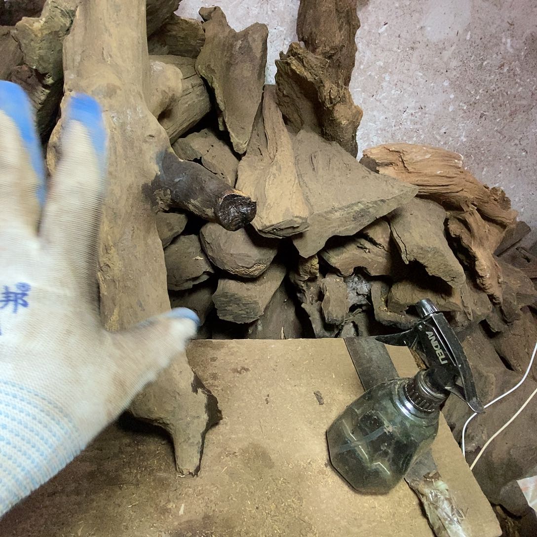 一***次贡木把件Wwwertghjkkj