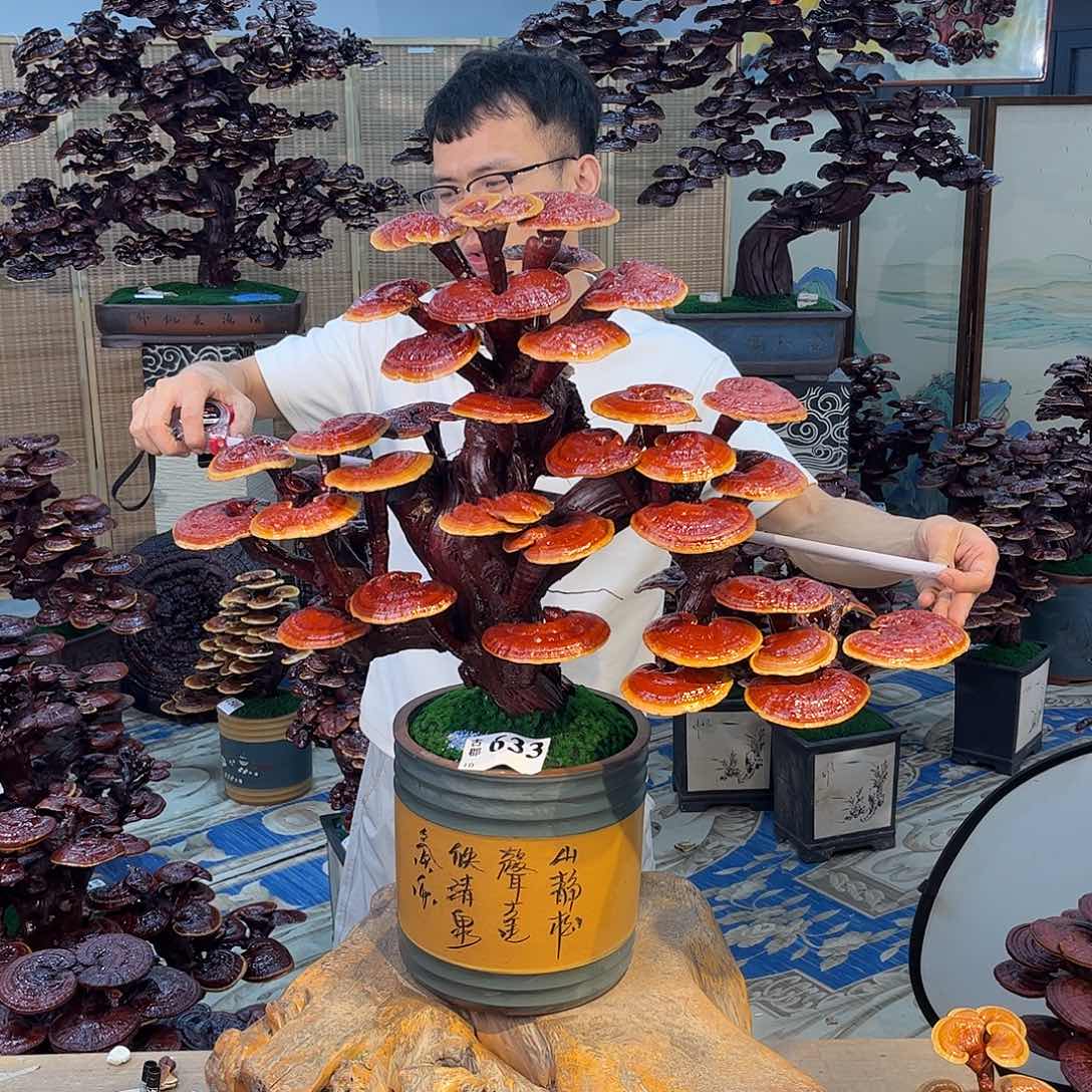 无花朵8888888888888888888