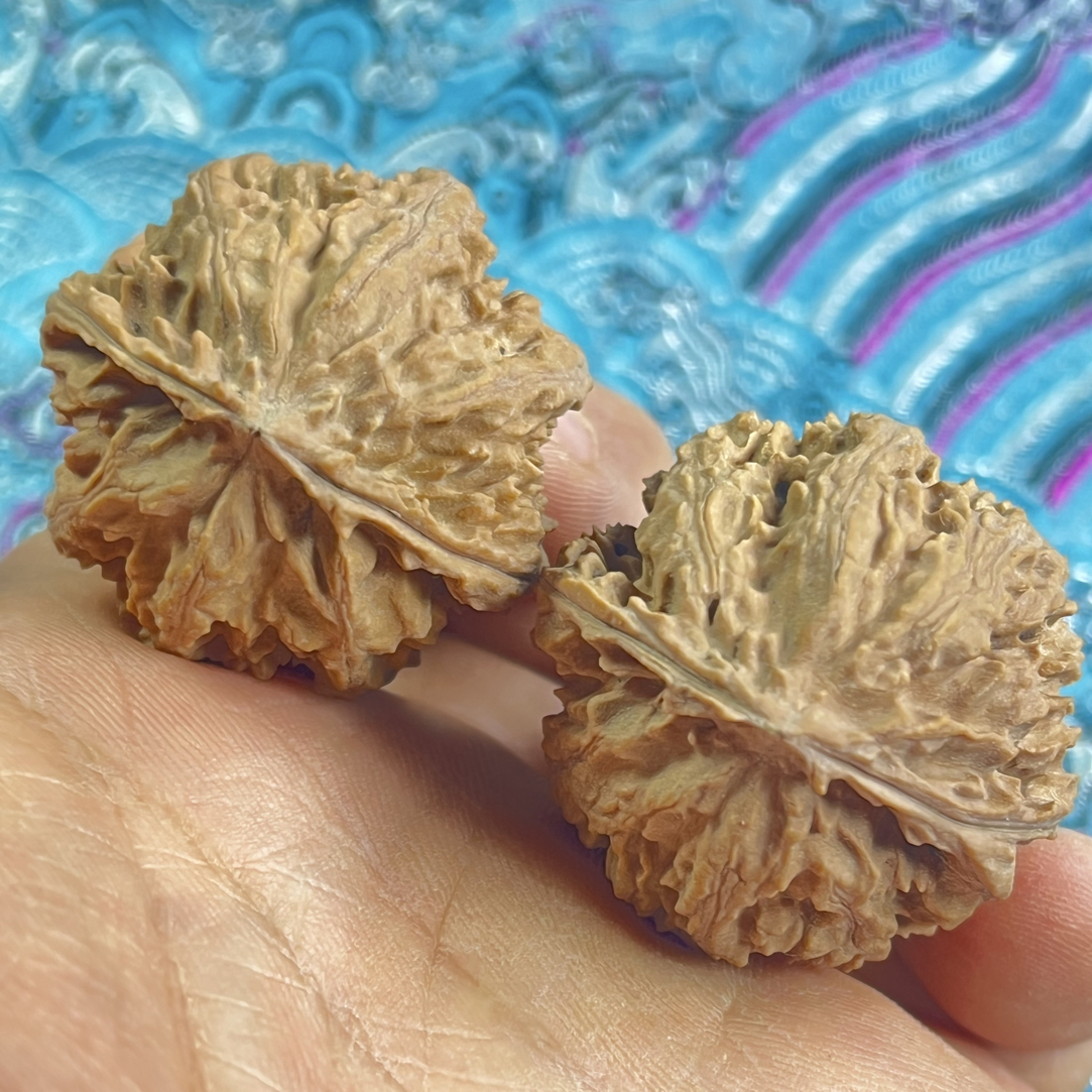 楸核桃直播间专属链接私拍随机发4