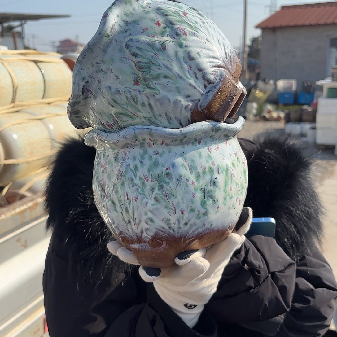 两个白菜口16高14