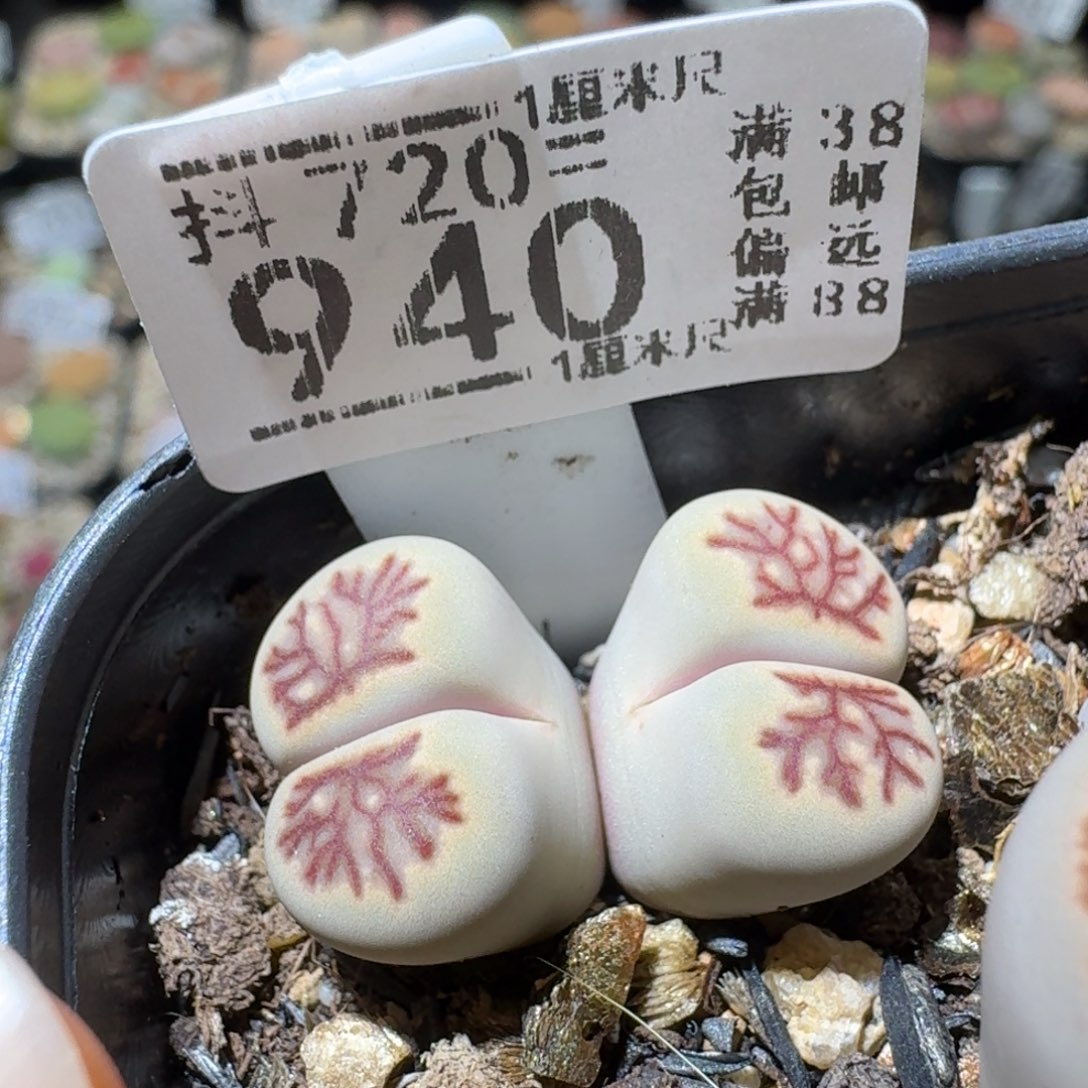 Sss精品便宜出940