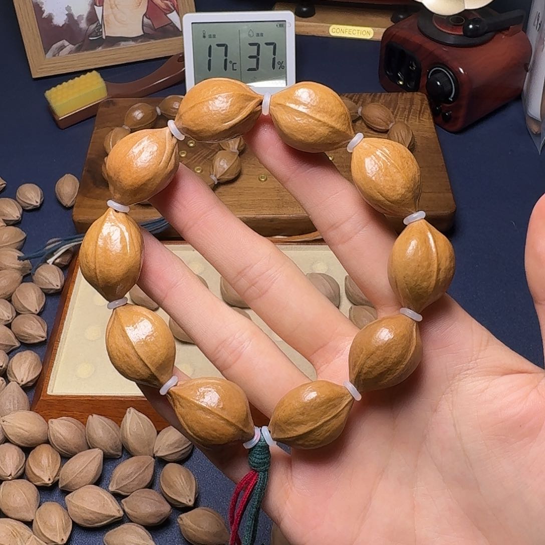 1.9*2.8精挑梅林铁核放漏款