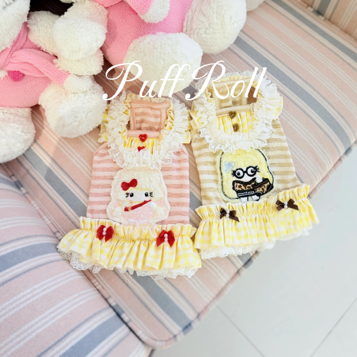 宠物衣服 直播间过款 no退no换 慎拍