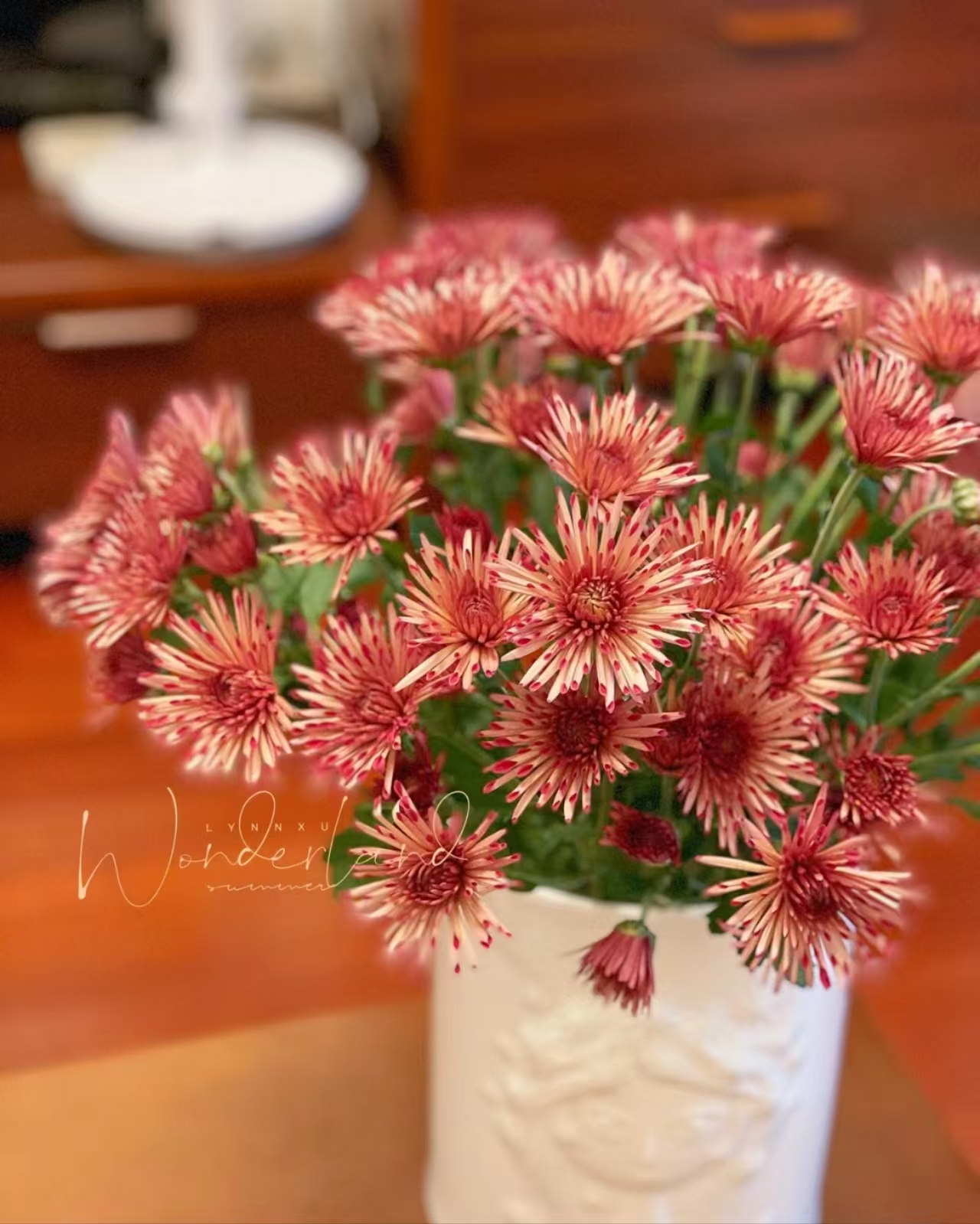 三岁花集-小雏菊草莓糖1扎（一单顺丰包邮）     