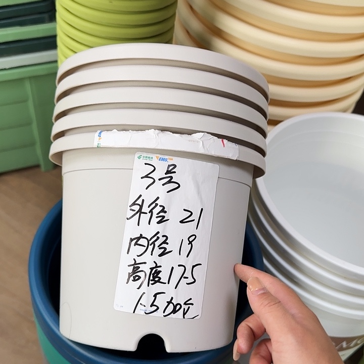 微瑕3#灰白10个无托