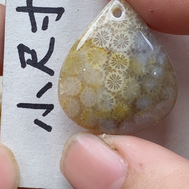 颈饰未镶嵌硅化珊瑚（珊瑚玉）