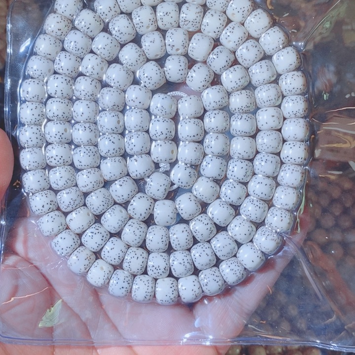 飞***扬星月菩提吊坠Fjd Ggghhhhhhhhh if