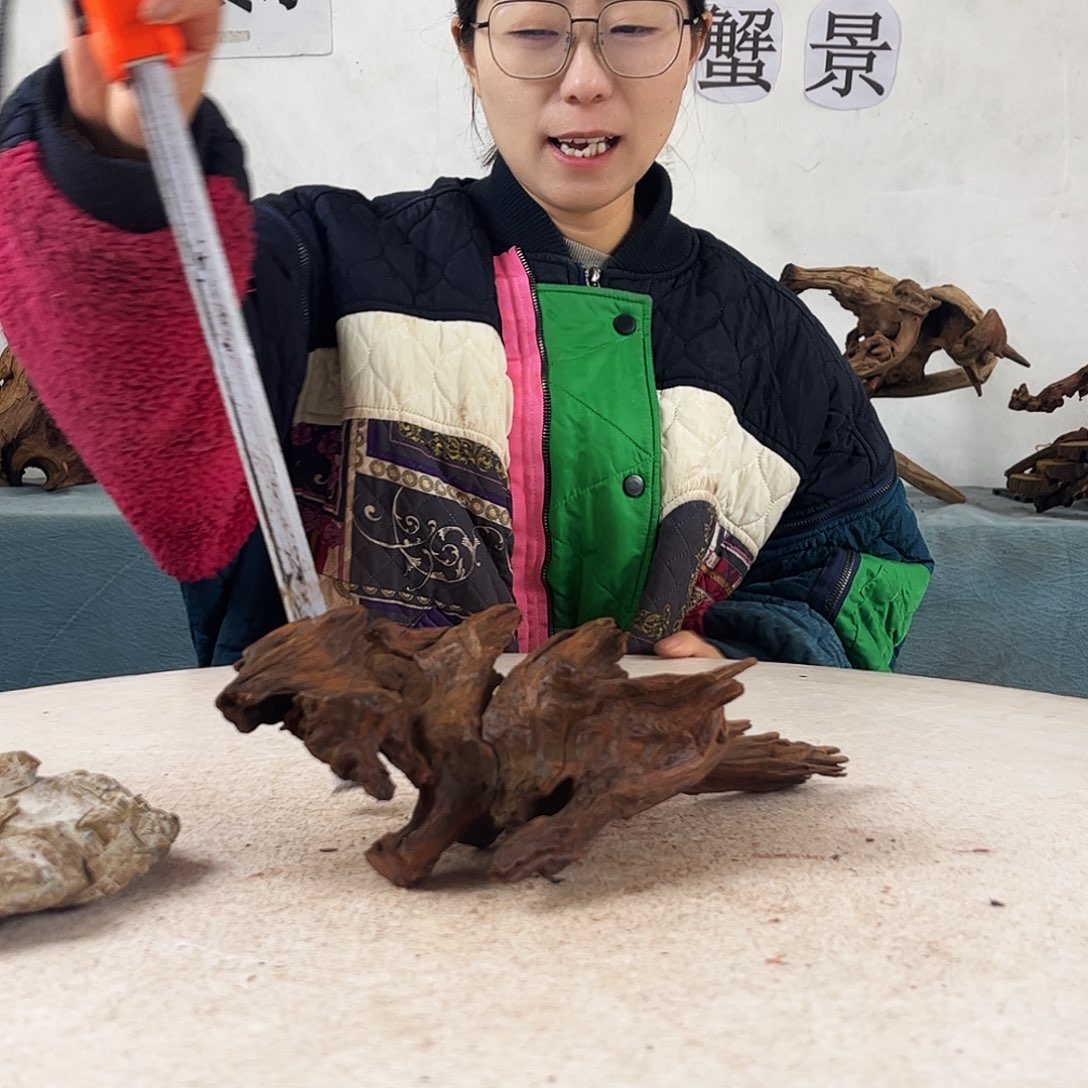 沉木造景爬宠造景