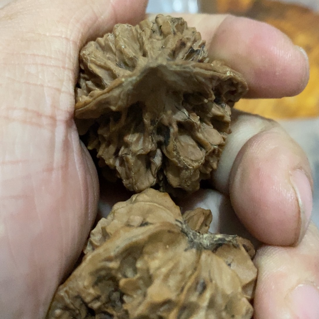 秦岭南侧和东北北部分别